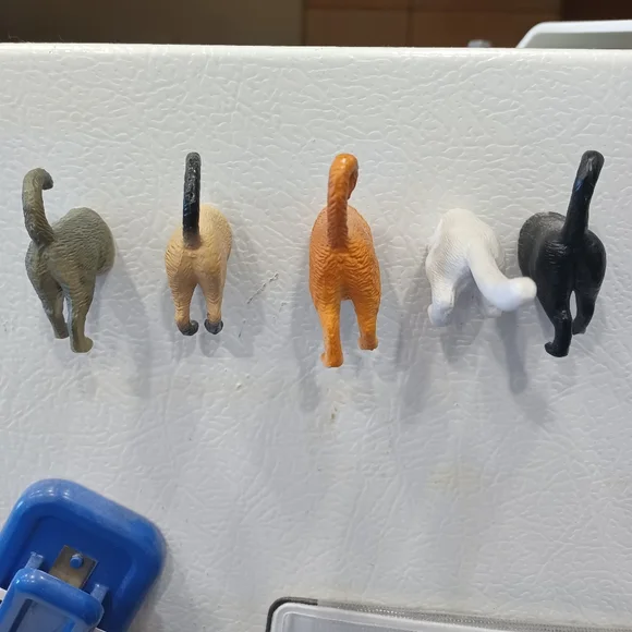 5 cat tail fridge magnets - Picture 1 of 1